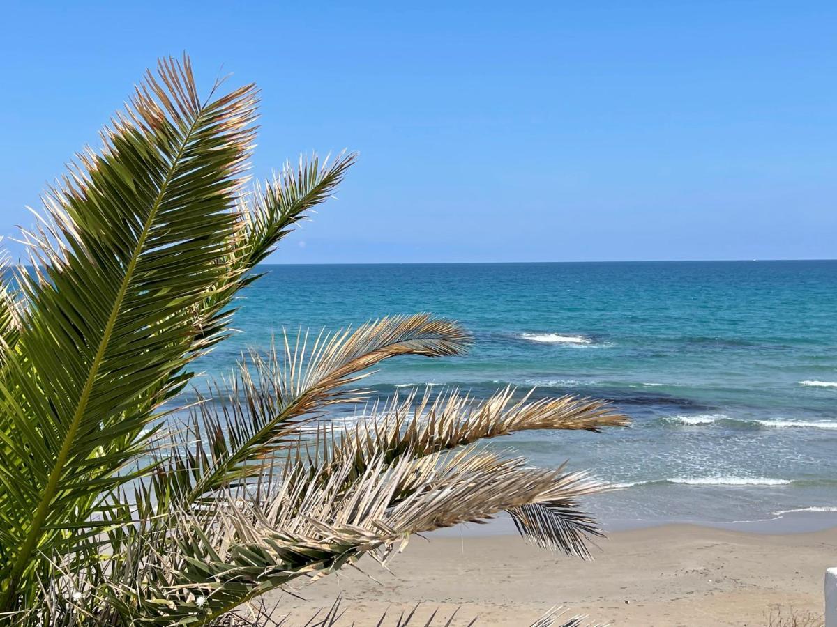 Luxury Apartment Turquesa Del Mar 알리칸테 외부 사진